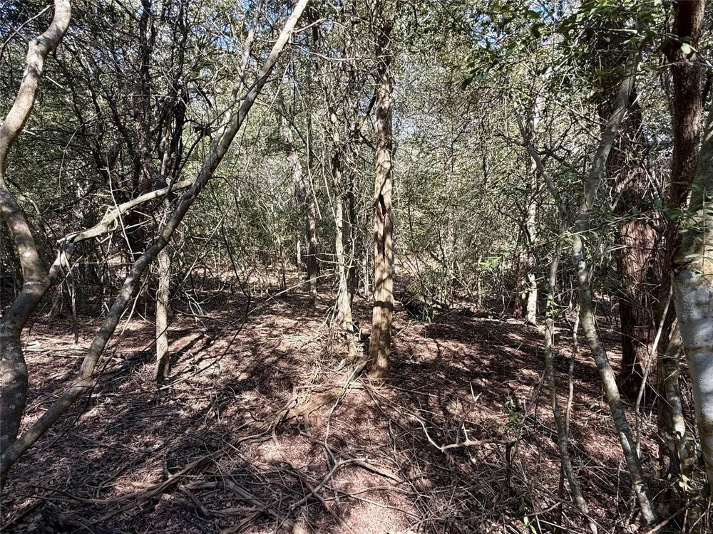 1232 Hanauma Drive Bastrop, TX 78602