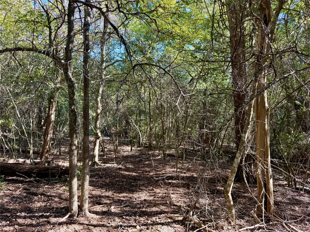 1232 Hanauma Drive Bastrop, TX 78602