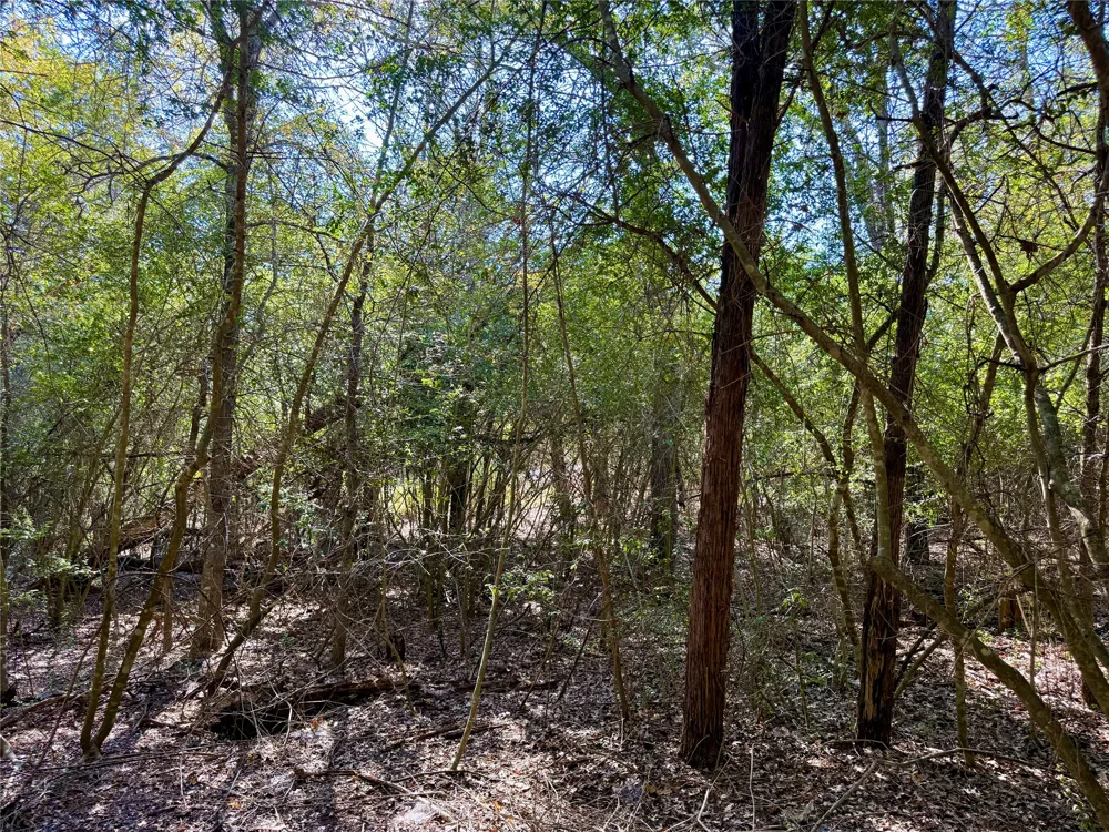 1232 Hanauma Drive Bastrop, TX 78602