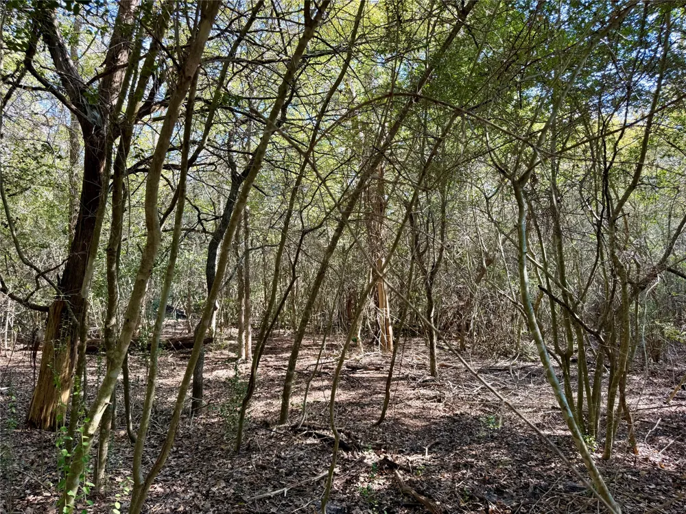1232 Hanauma Drive Bastrop, TX 78602