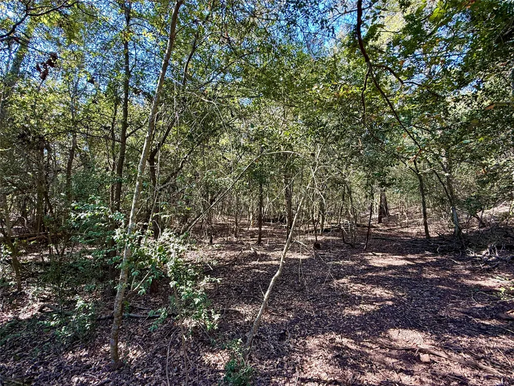 1232 Hanauma Drive Bastrop, TX 78602