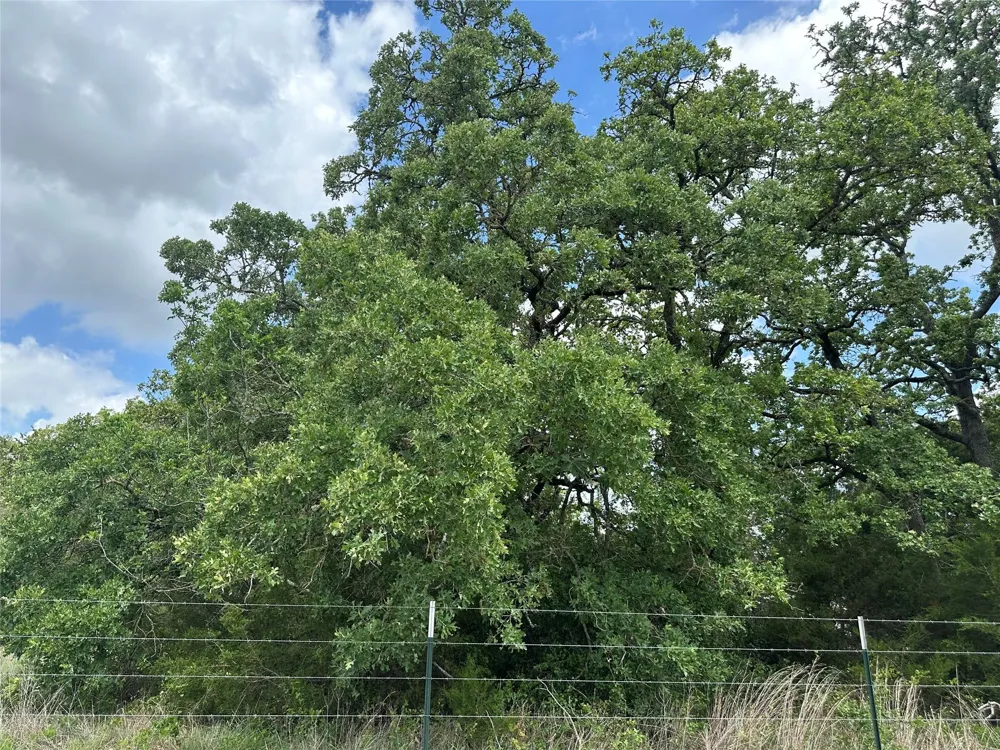 2523 County Road 133 Giddings, TX 78942