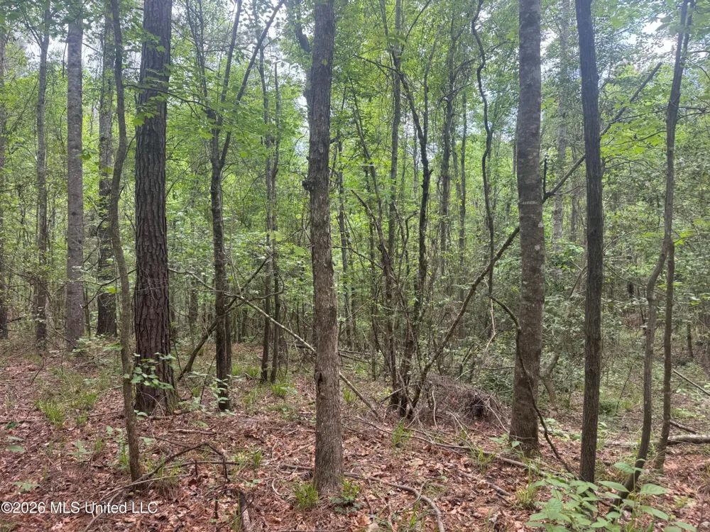 Bushtown Road Pinola, MS 39149