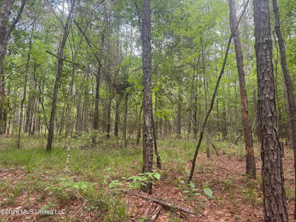 Bushtown Road Pinola, MS 39149