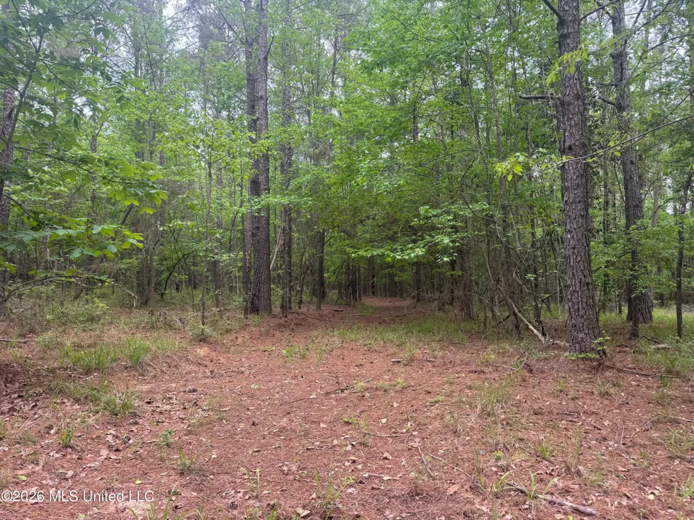Bushtown Road Pinola, MS 39149