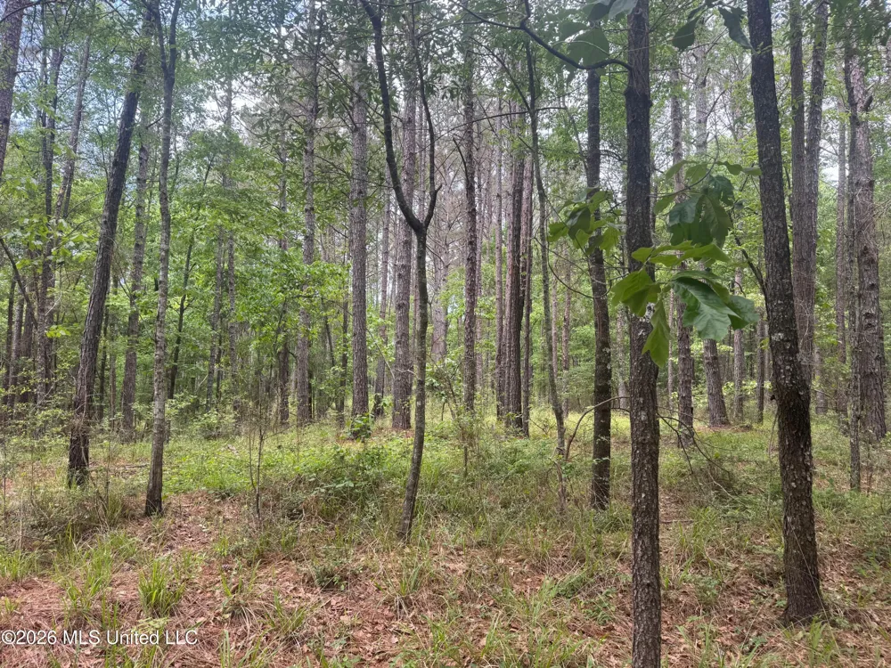 Bushtown Road Pinola, MS 39149