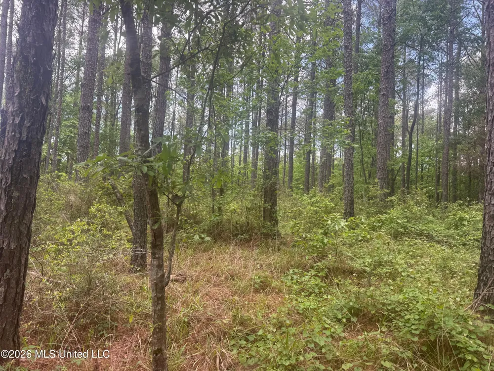 Bushtown Road Pinola, MS 39149