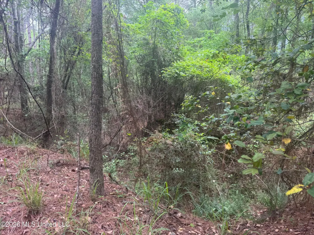 Bushtown Road Pinola, MS 39149