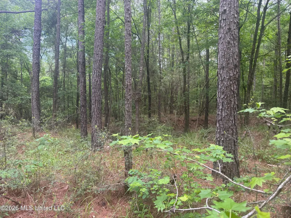 Bushtown Road Pinola, MS 39149