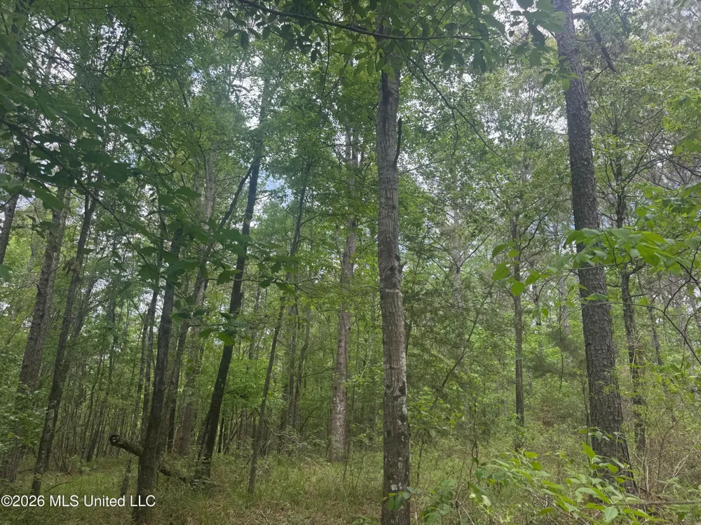Bushtown Road Pinola, MS 39149