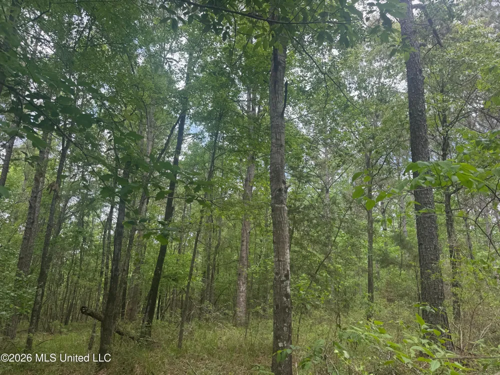 Bushtown Road Pinola, MS 39149