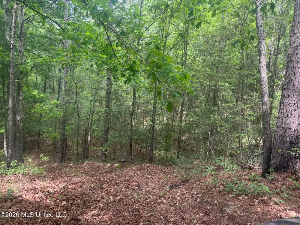 Bushtown Road Pinola, MS 39149