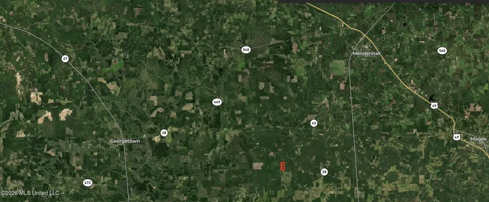 Bushtown Road Pinola, MS 39149