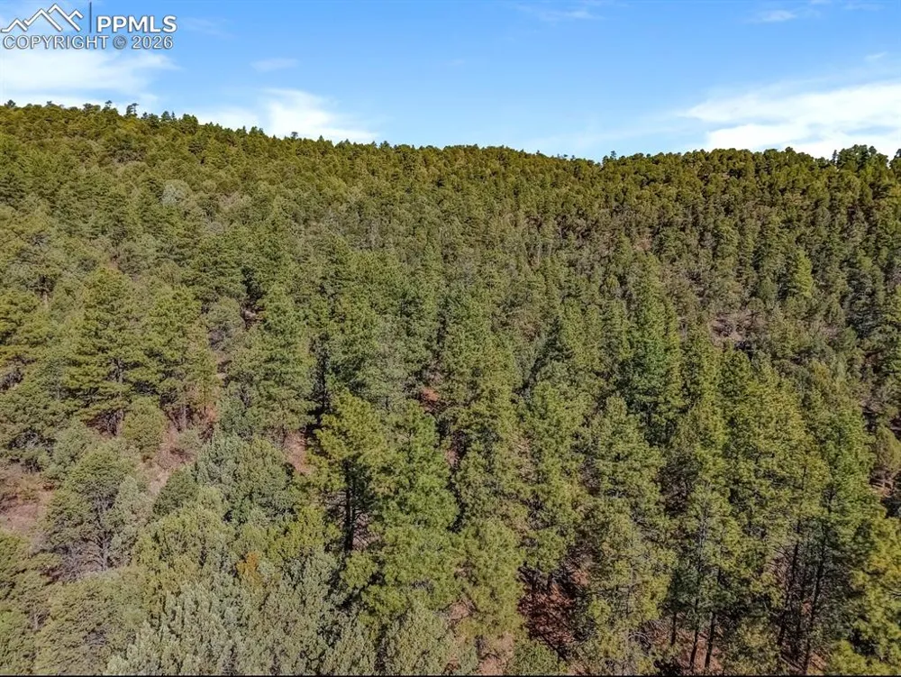 230 Old Mission Road Trinidad, CO 81082