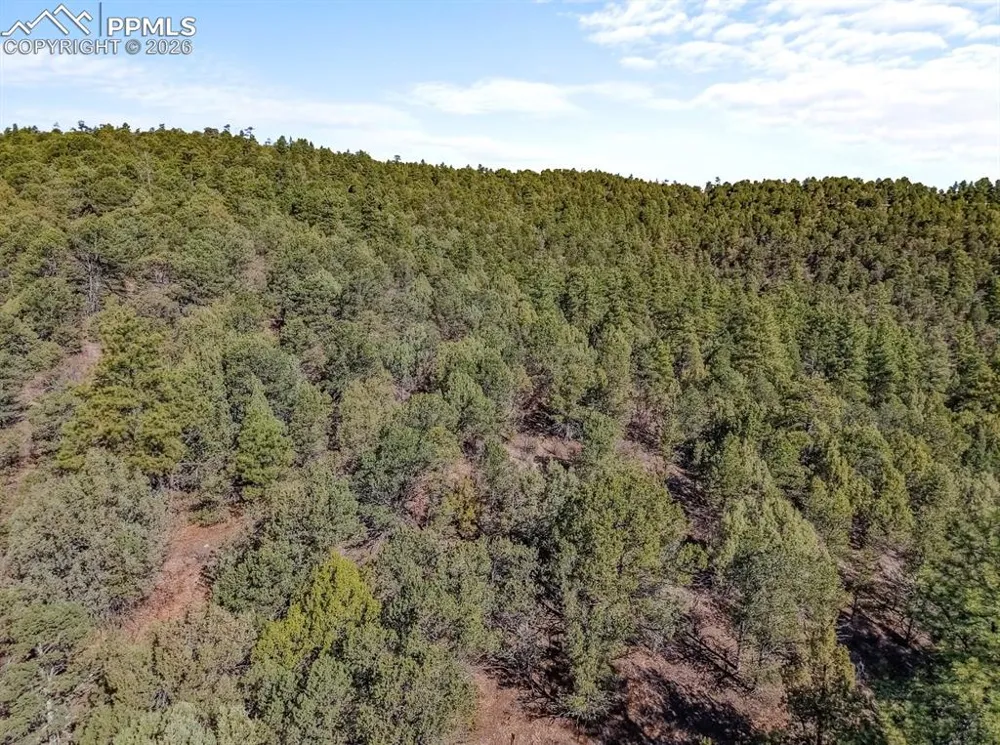 230 Old Mission Road Trinidad, CO 81082