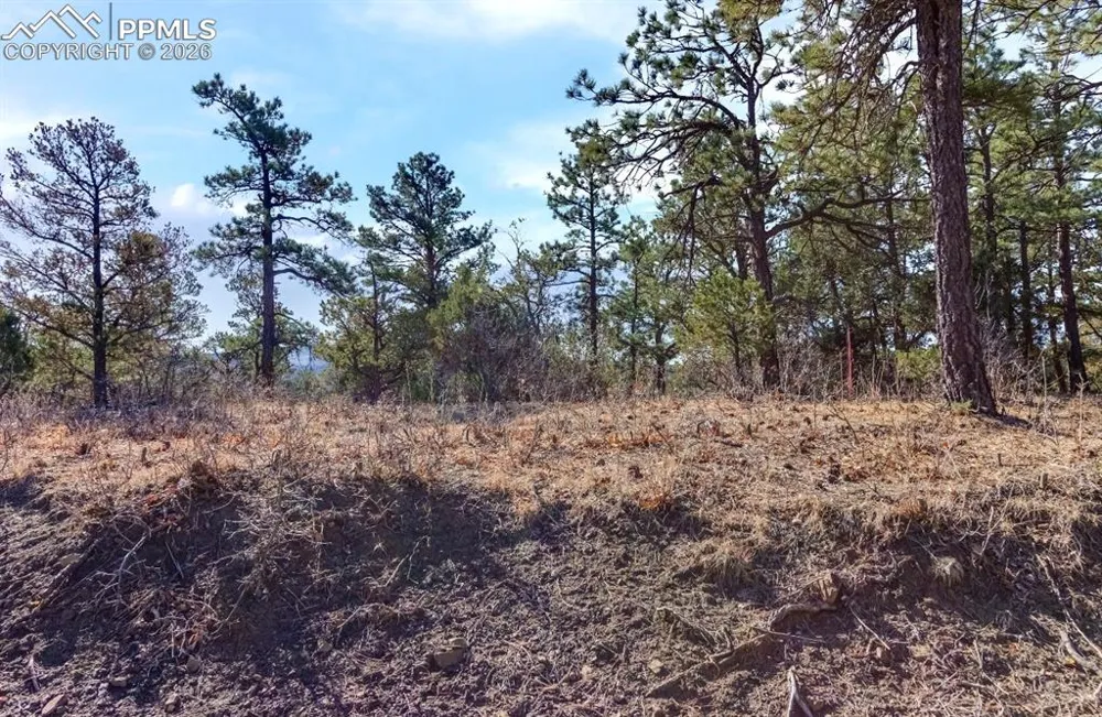 230 Old Mission Road Trinidad, CO 81082