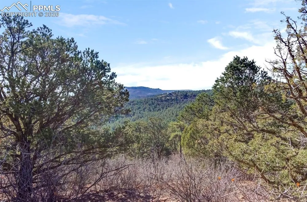 230 Old Mission Road Trinidad, CO 81082