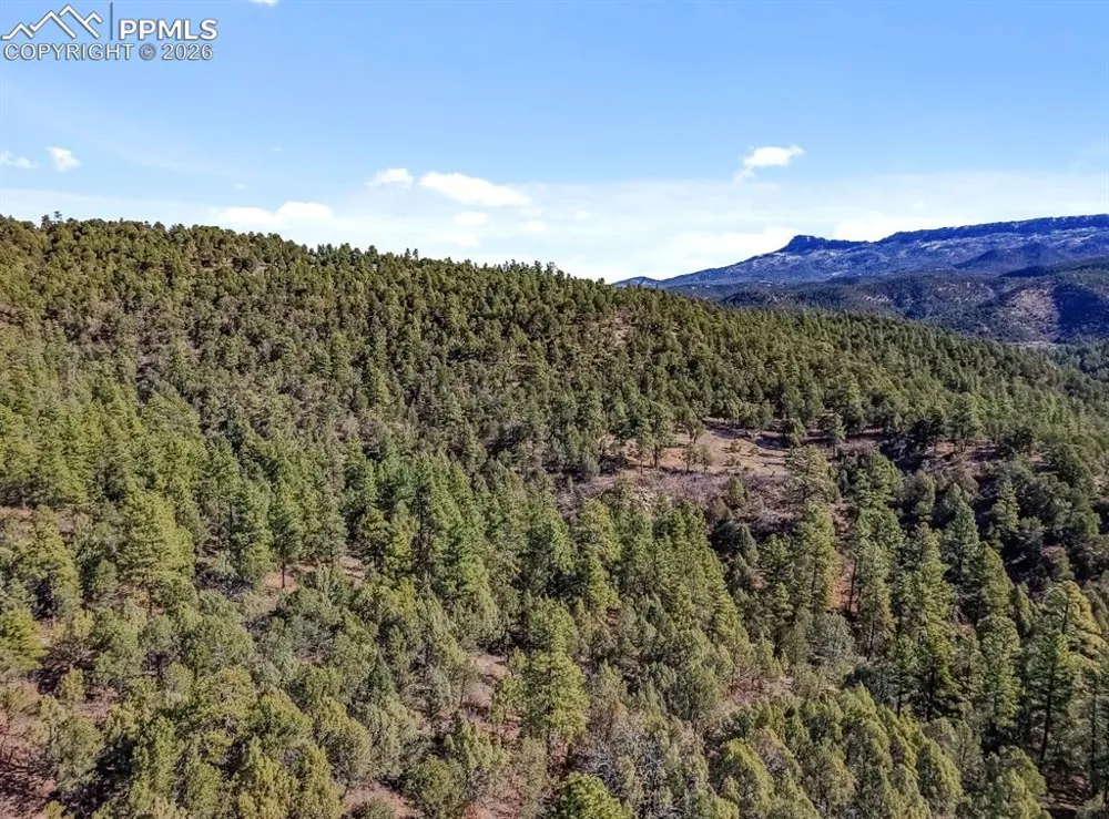 230 Old Mission Road Trinidad, CO 81082