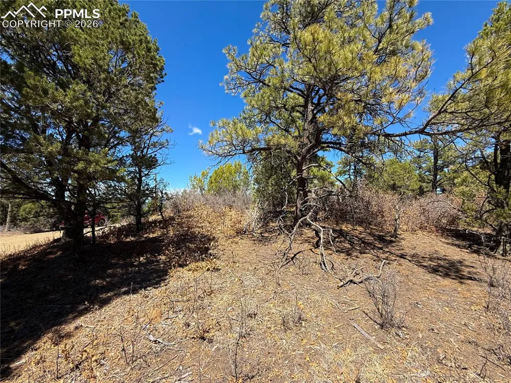230 Old Mission Road Trinidad, CO 81082