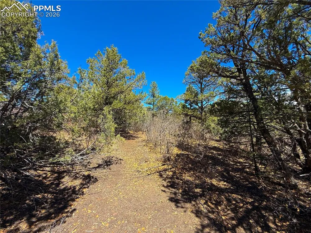 230 Old Mission Road Trinidad, CO 81082
