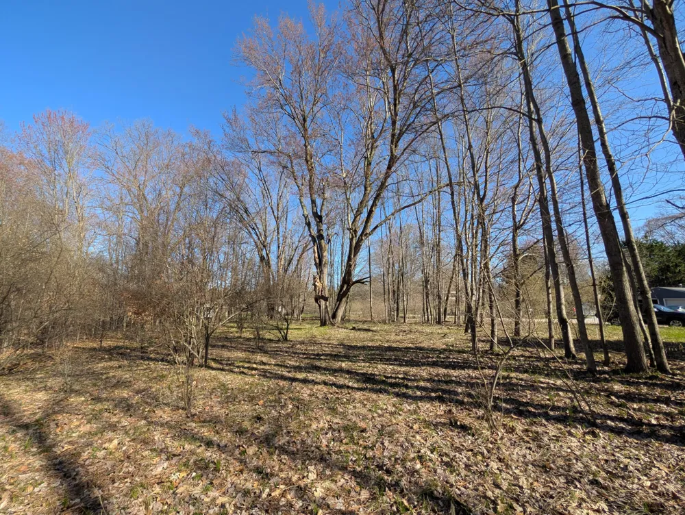6465 Fox Den #197 Custer, MI 49405