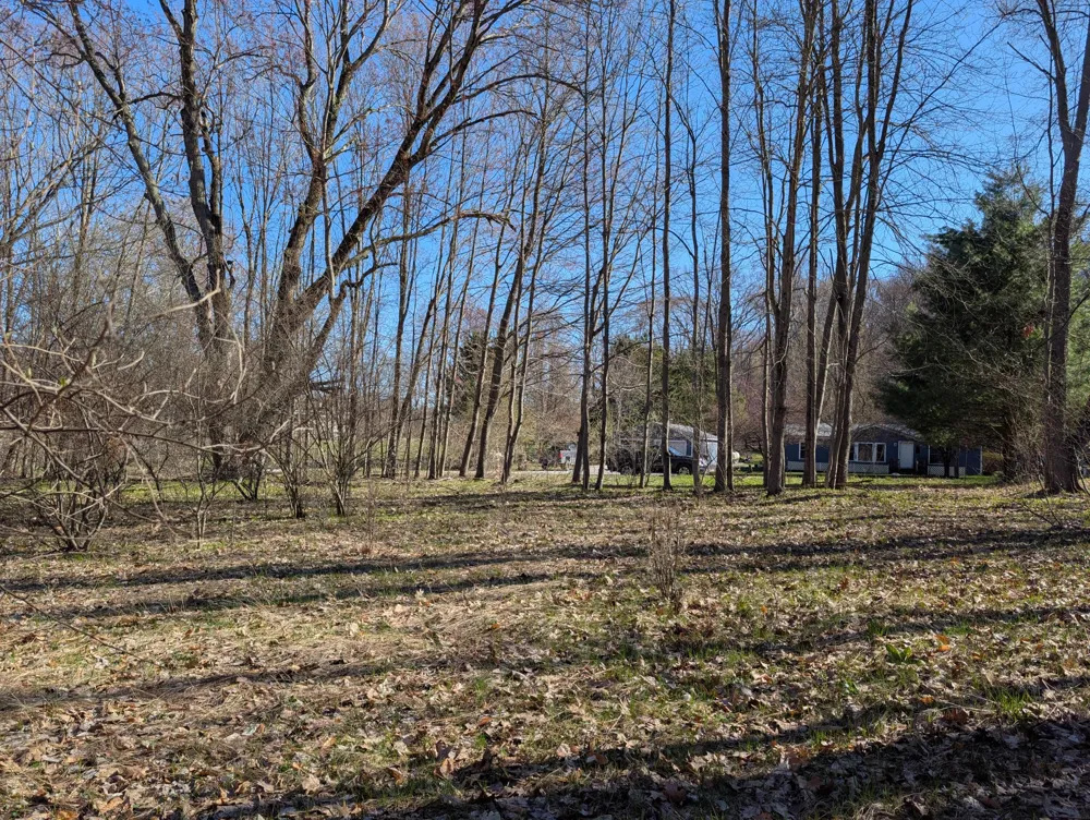 6465 Fox Den #197 Custer, MI 49405