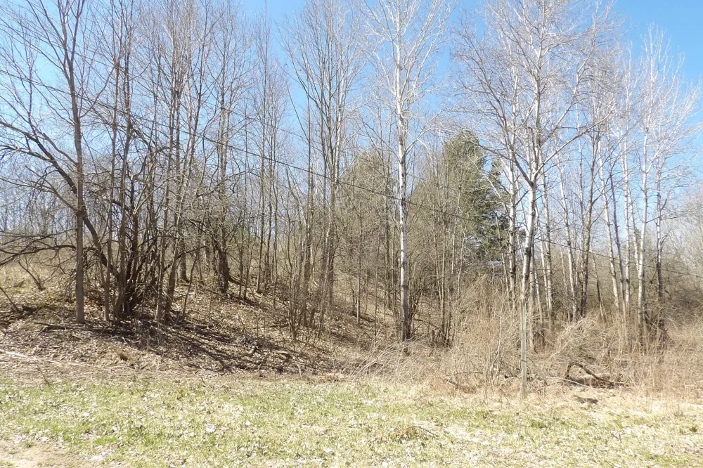 23094 Apache Trail Evart, MI 49631