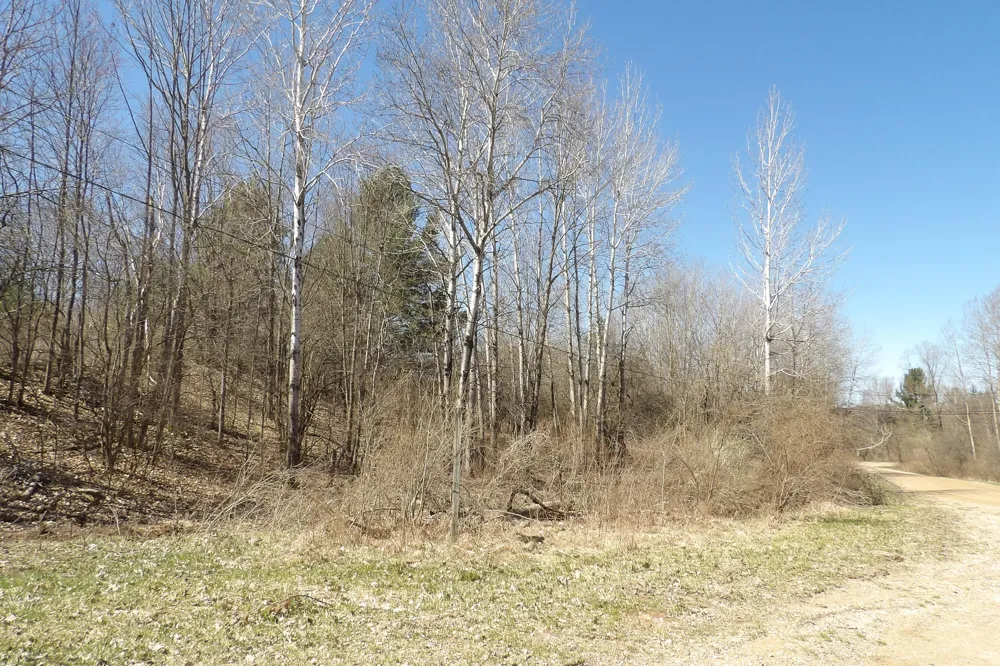 23094 Apache Trail Evart, MI 49631