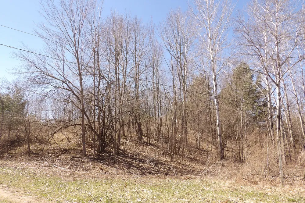 23094 Apache Trail Evart, MI 49631