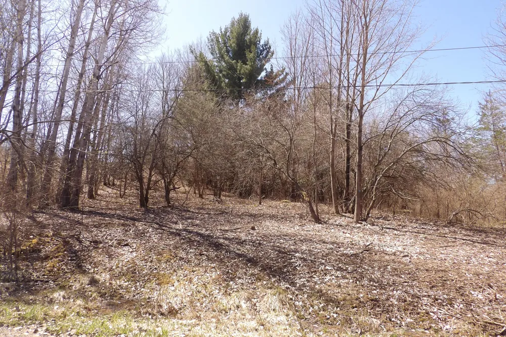 23094 Apache Trail Evart, MI 49631