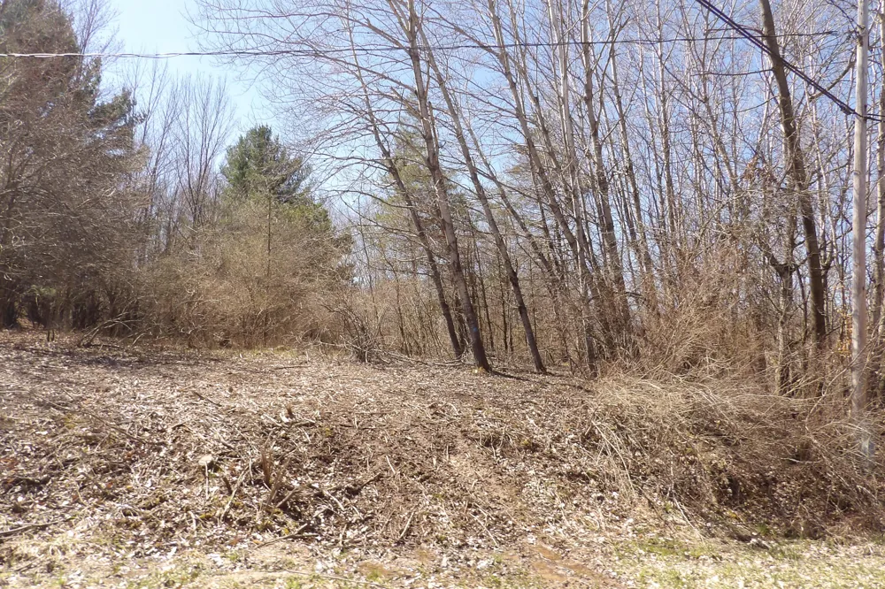 23094 Apache Trail Evart, MI 49631