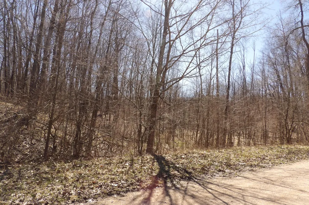 23094 Apache Trail Evart, MI 49631