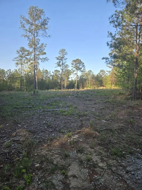 SWEETGUM LANE