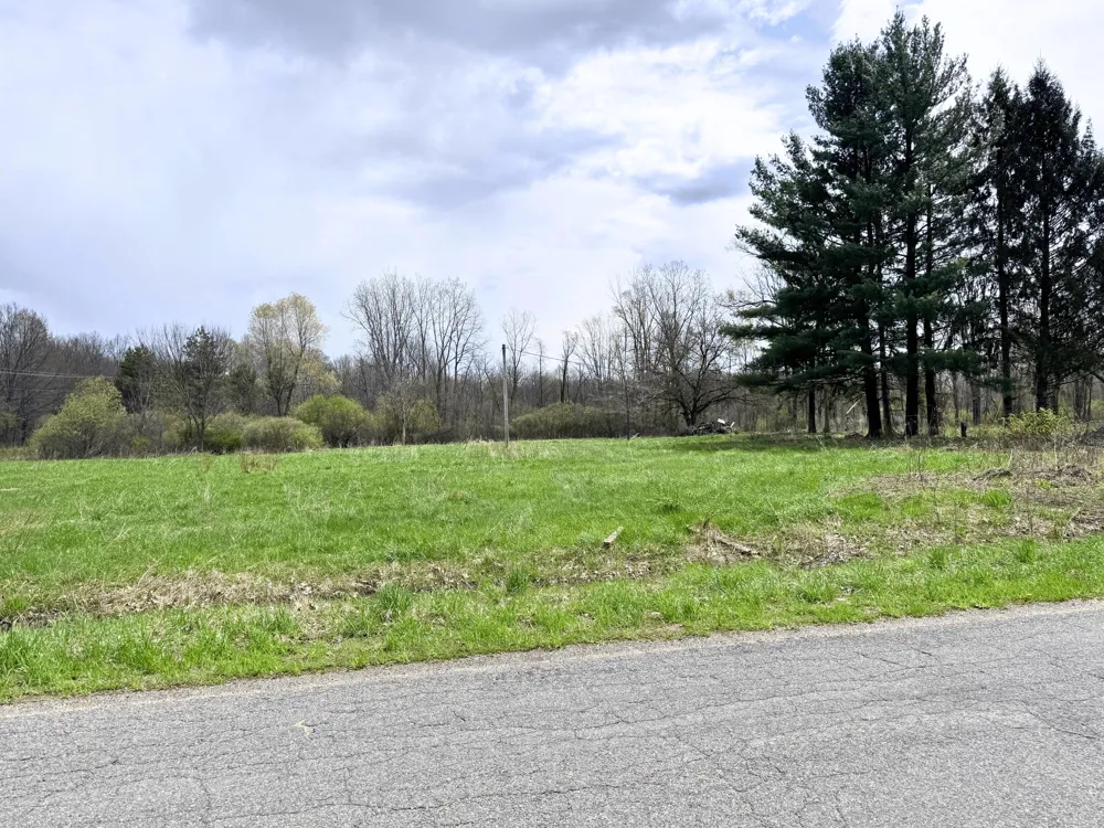 52151 Finch Road Marcellus, MI 49067