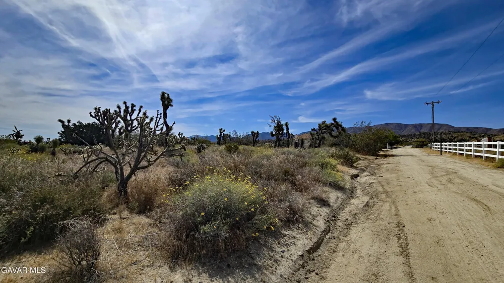 103rd St East Vicinity W14 Juniper Hills, CA 93543