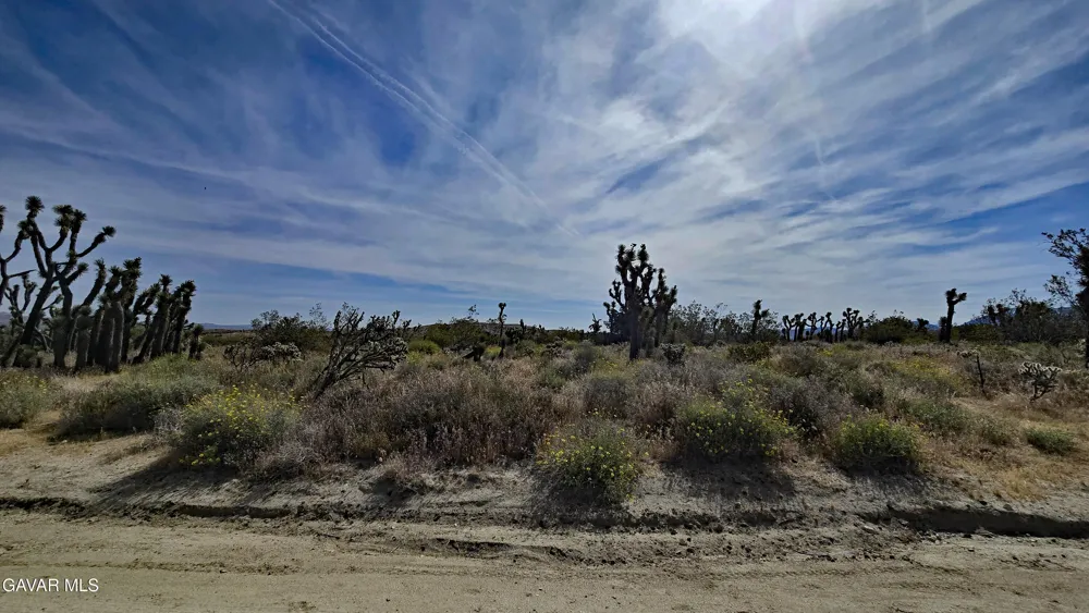 103rd St East Vicinity W14 Juniper Hills, CA 93543