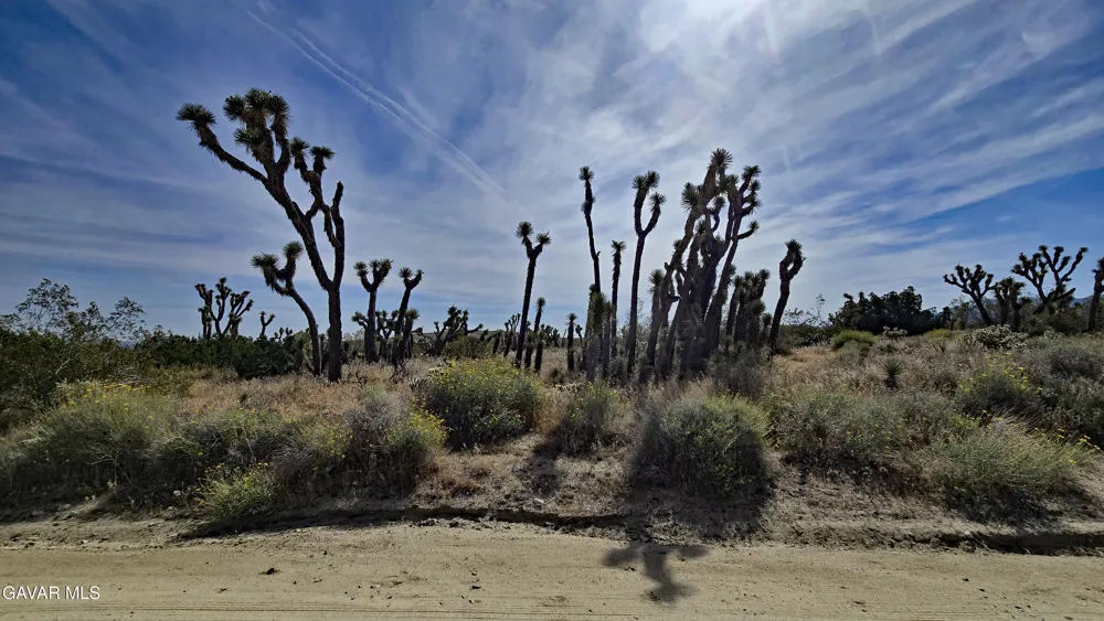 103rd St East Vicinity W14 Juniper Hills, CA 93543