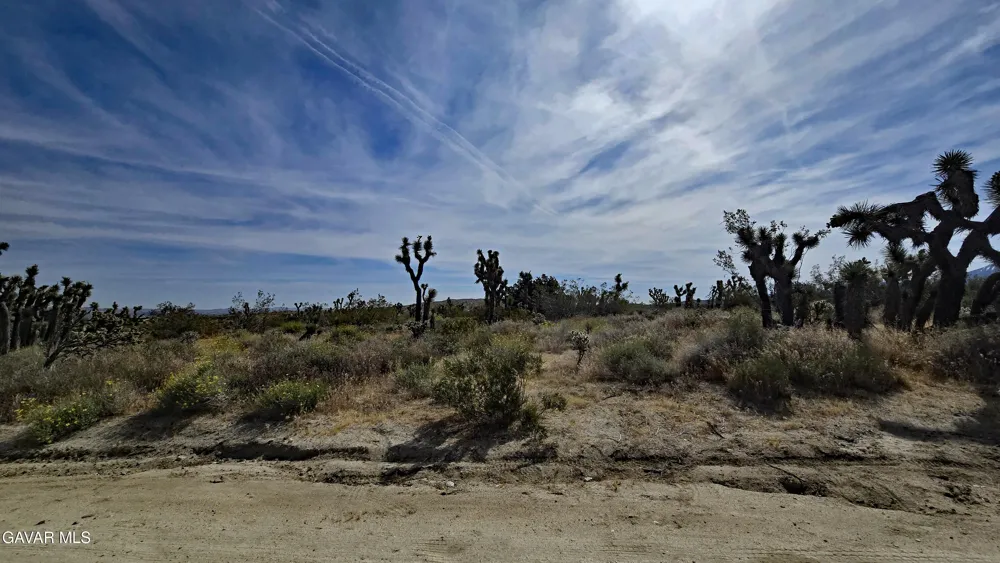 103rd St East Vicinity W14 Juniper Hills, CA 93543