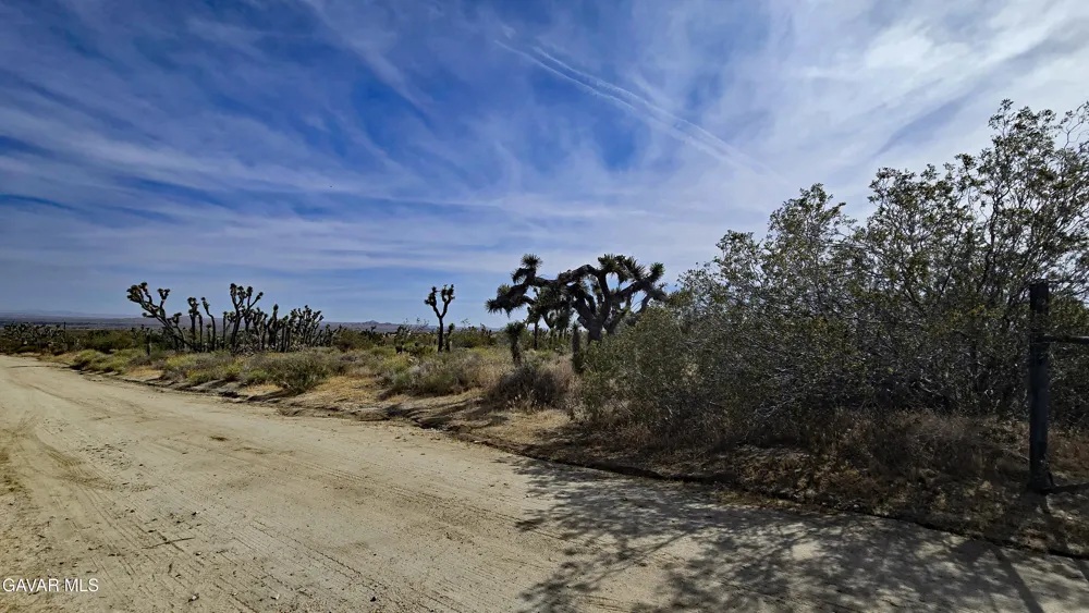 103rd St East Vicinity W14 Juniper Hills, CA 93543