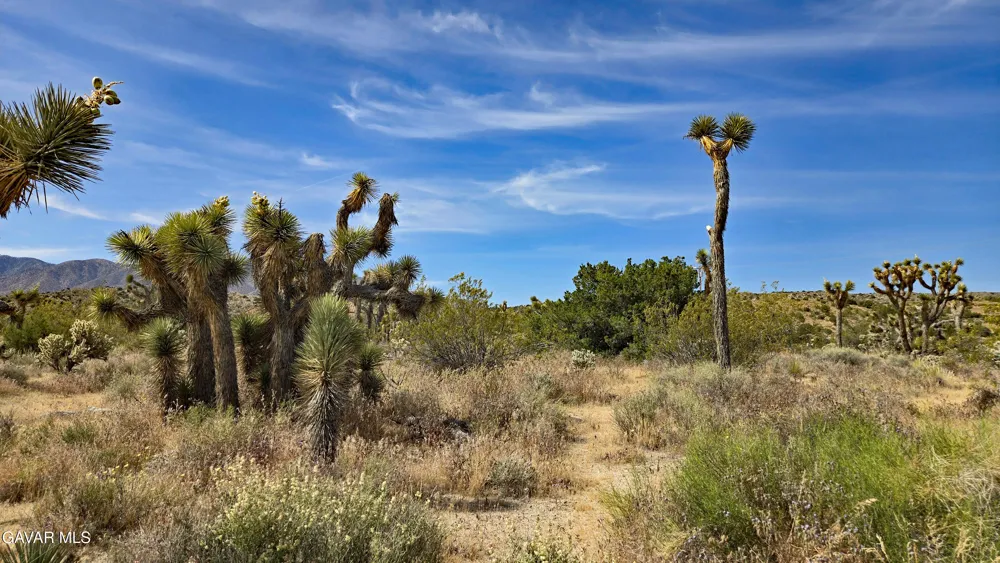 103rd St East Vicinity W14 Juniper Hills, CA 93543