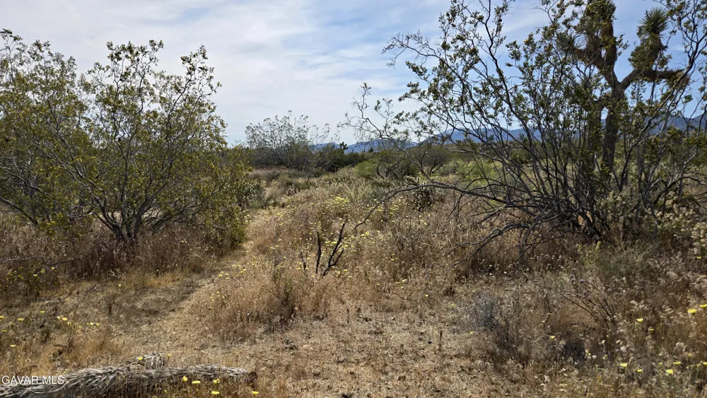 103rd St East Vicinity W14 Juniper Hills, CA 93543