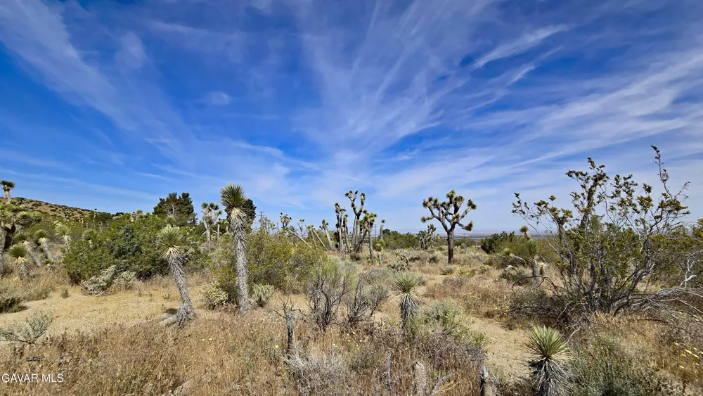 103rd St East Vicinity W14 Juniper Hills, CA 93543