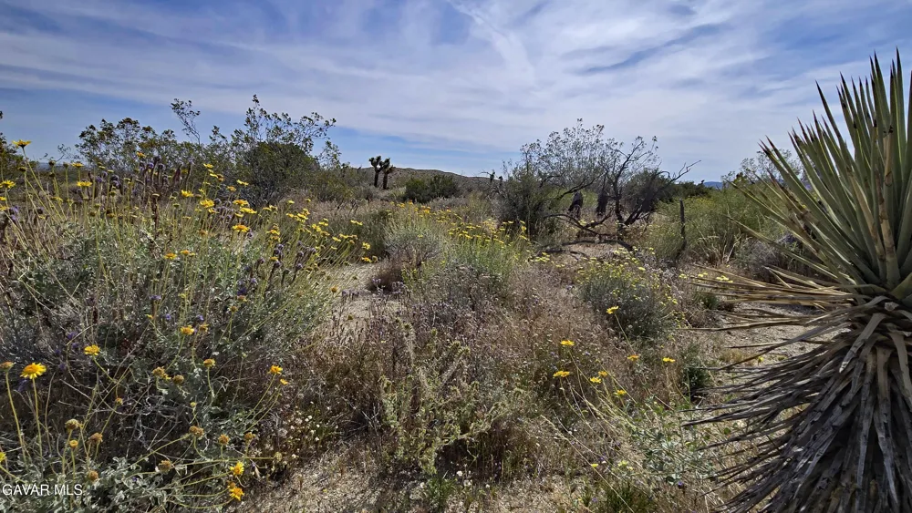 103rd St East Vicinity W14 Juniper Hills, CA 93543