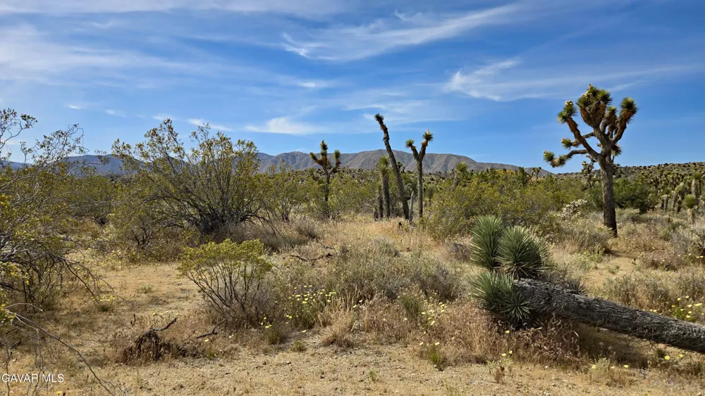 103rd St East Vicinity W14 Juniper Hills, CA 93543