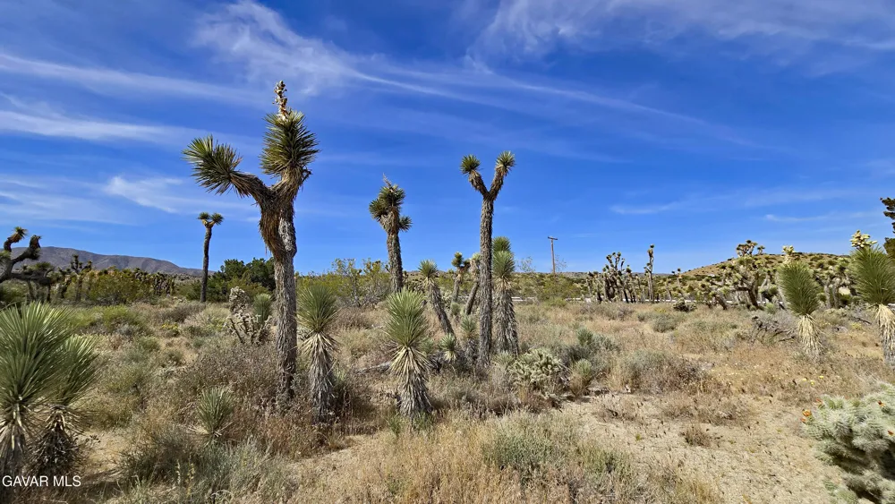 103rd St East Vicinity W14 Juniper Hills, CA 93543