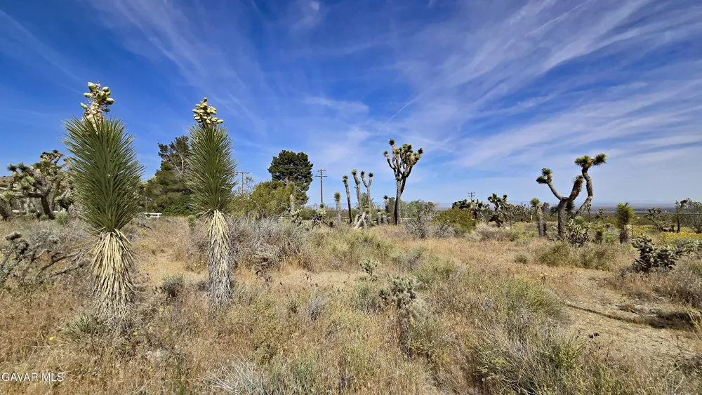 103rd St East Vicinity W14 Juniper Hills, CA 93543