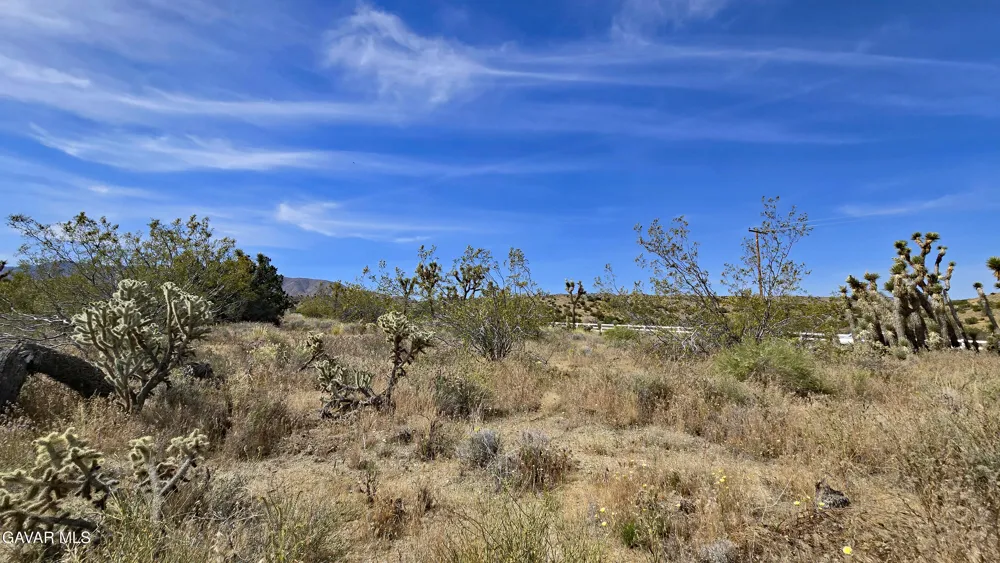 103rd St East Vicinity W14 Juniper Hills, CA 93543