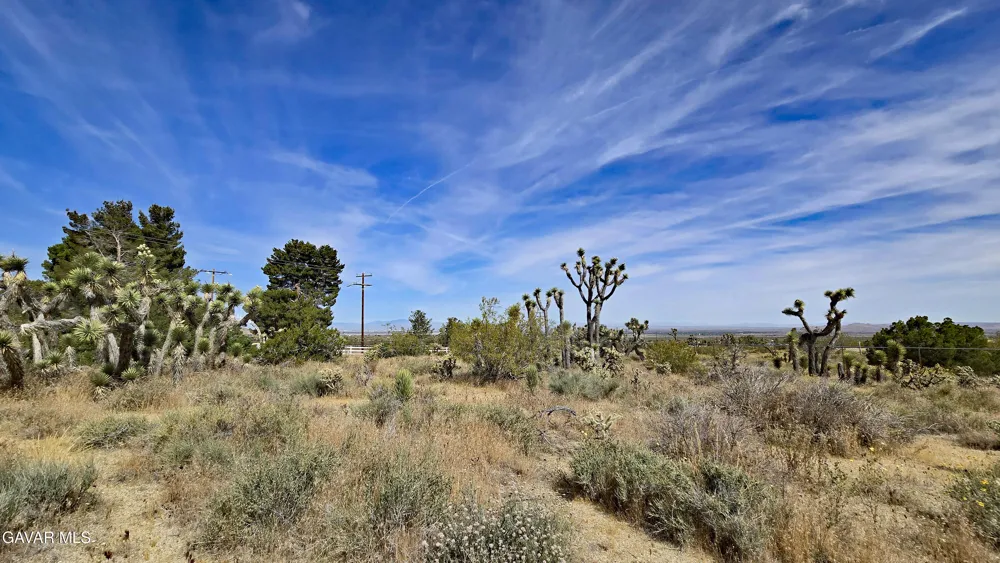 103rd St East Vicinity W14 Juniper Hills, CA 93543