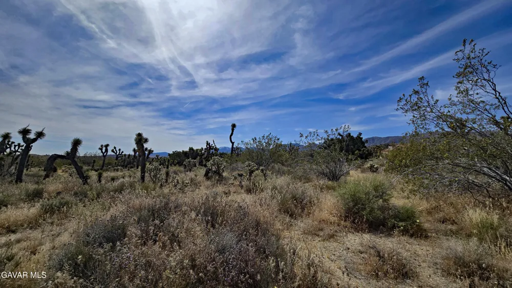 103rd St East Vicinity W14 Juniper Hills, CA 93543