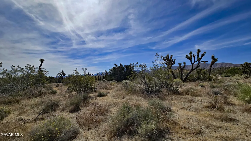 103rd St East Vicinity W14 Juniper Hills, CA 93543